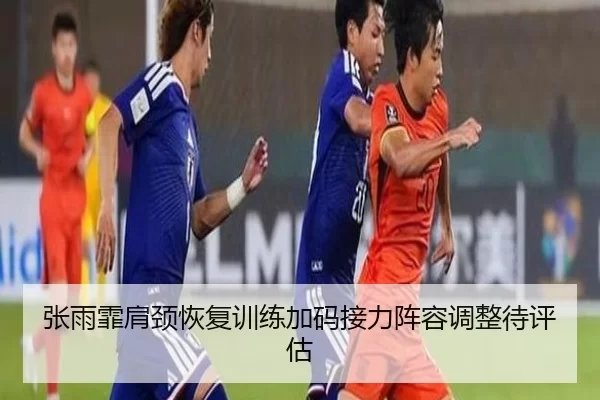 zhang-yu-fei-jian-jing-hui-fu-xun-lian-jia-ma-jie-li-zhen-rong-tiao-zheng-dai-ping-gu-2-372.jpg